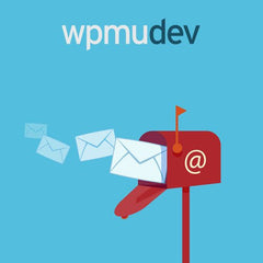 WPMU DEV E - Newsletter - Dghut